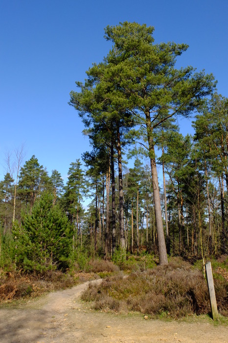 f025-31223