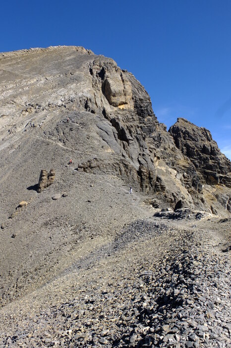 f025-37567