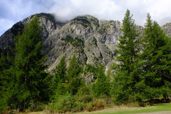 f025-37590