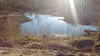 m001-170325_172750