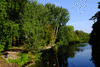 trees-36534